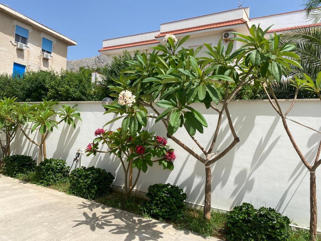 Villa Delle Pomelie Isola delle Femmine Exteriör bild